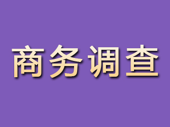 石柱商务调查